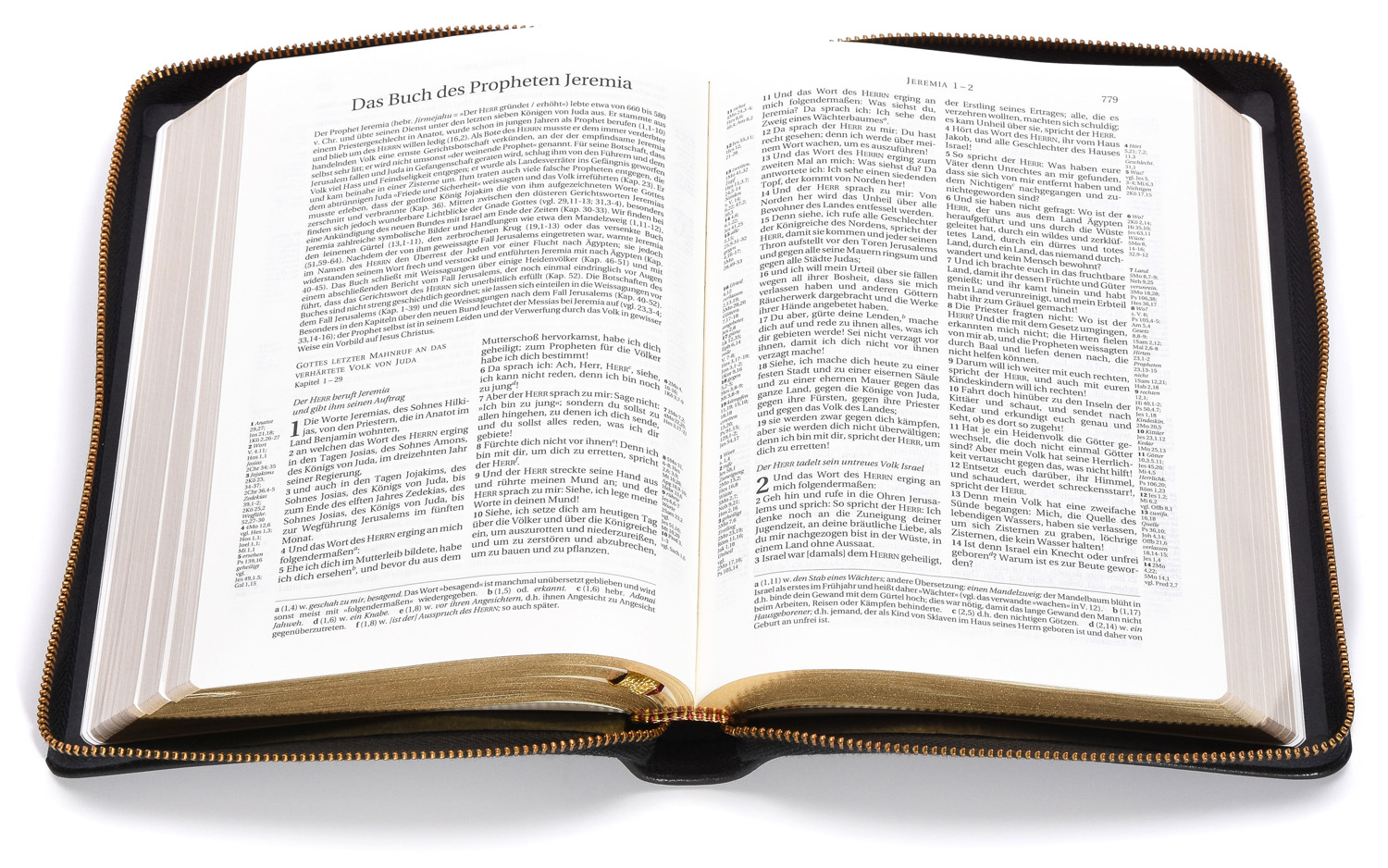 Schlachter 2000 - Taschenausgabe - Kalbsleder-Einband