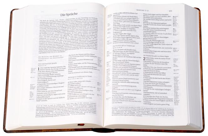 Schlachter 2000 - Einband 