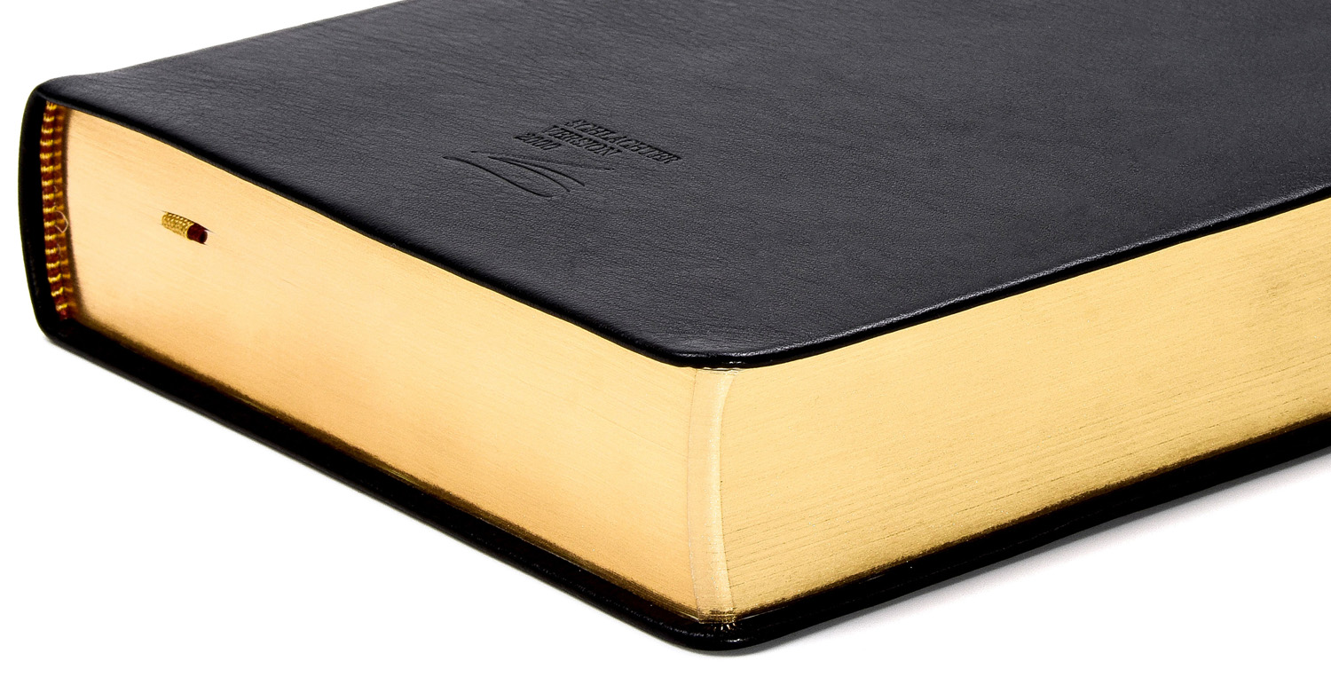 Schlachter 2000 - Kalbsleder-Einband - Großdruckausgabe