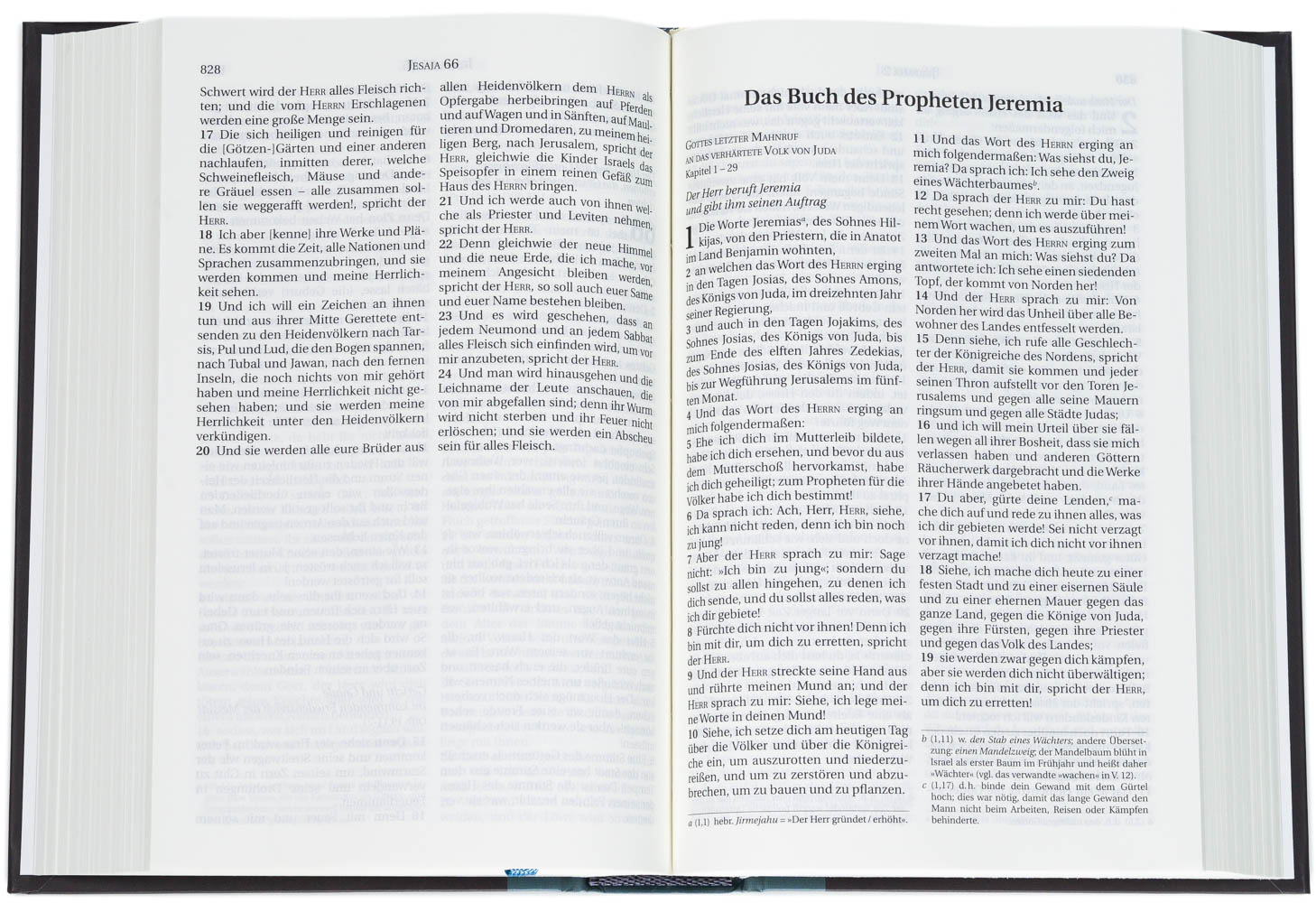 Schlachter - 2000 - klassischer fester Einband