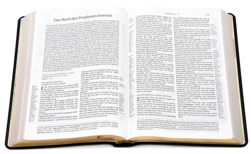 Schlachter 2000 - Standardausgabe (Kalbsleder-Ausgabe [flexibler Einband] - Goldschnitt - schwarz)