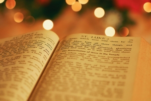 Wie können Sie sagen, dass die Bibel von Gott ist und dass alles wahr ist?